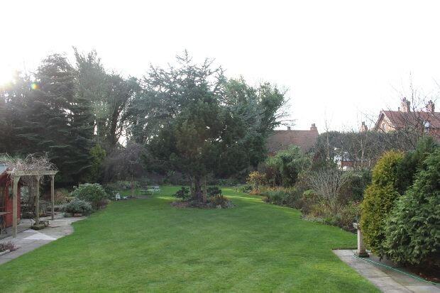 Photo 11