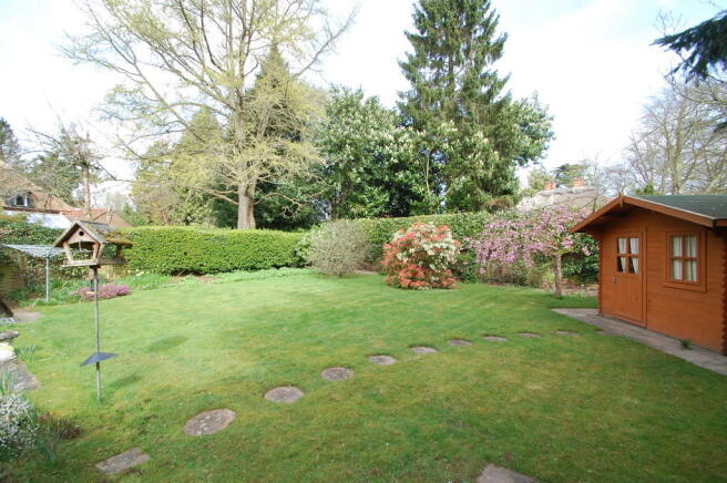 Photo 12