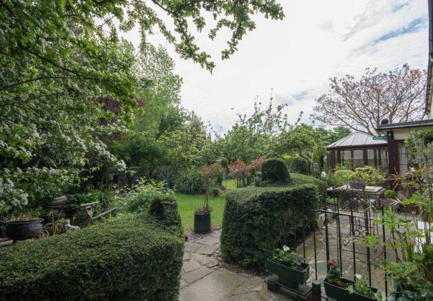 garden from side