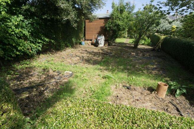 Vegetable Garden