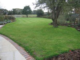 Lawn Area