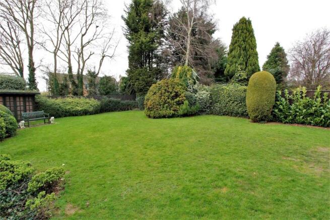 Garden (2).JPG