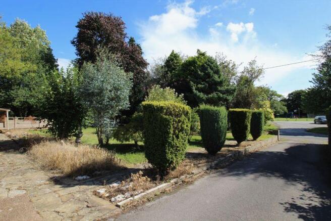 Front Garden