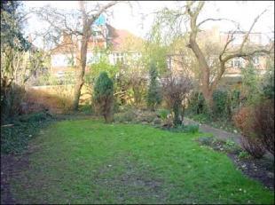 APPROX 80' GARDEN