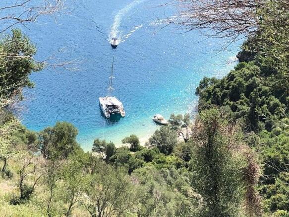 view from top of plot