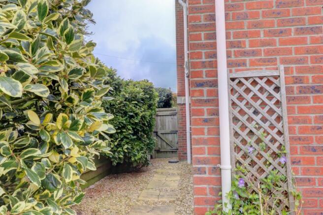Garden 3