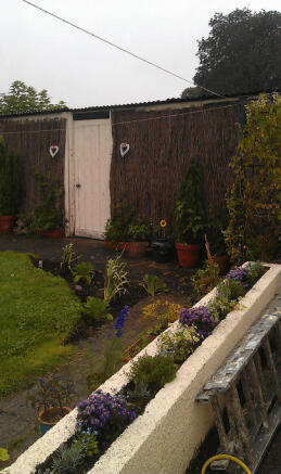 Photo 15