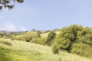 View from rear garden