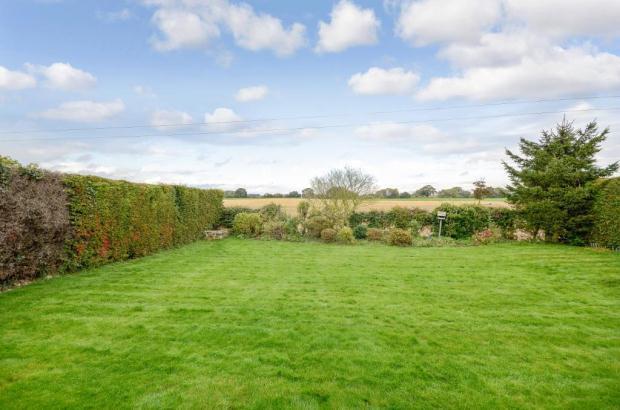 Garden & View