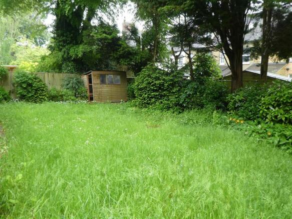 garden.JPG