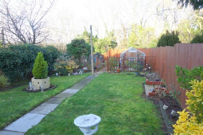 rear garden1.JPG