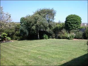 GARDEN 2