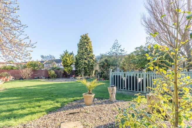 Garden at Back