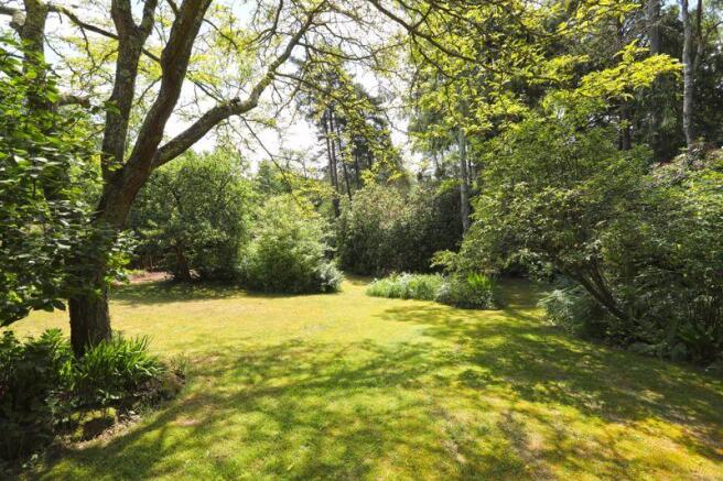 Woodland Area