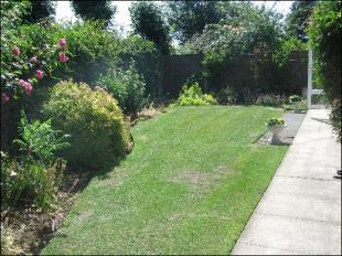 Side Garden