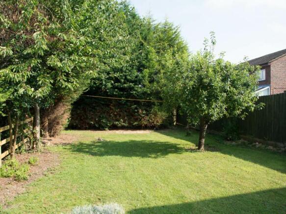 Back garden