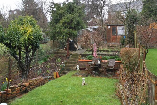 garden (2).jpg