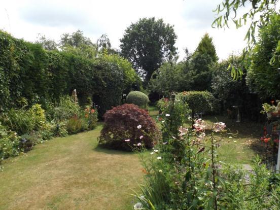 Garden 2