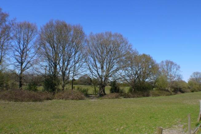 Garden View 2