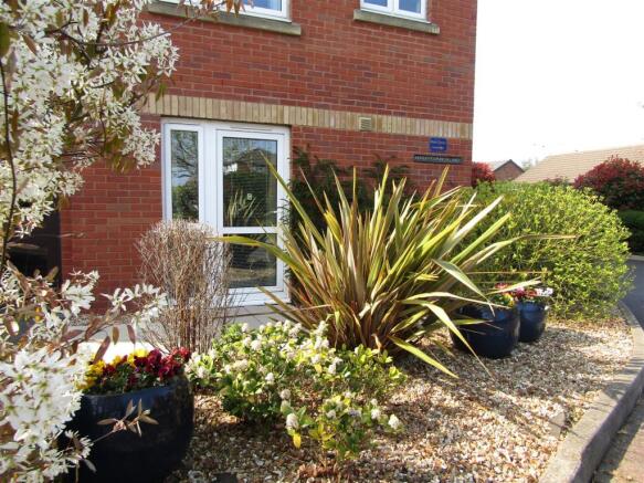 Rear Garden View
