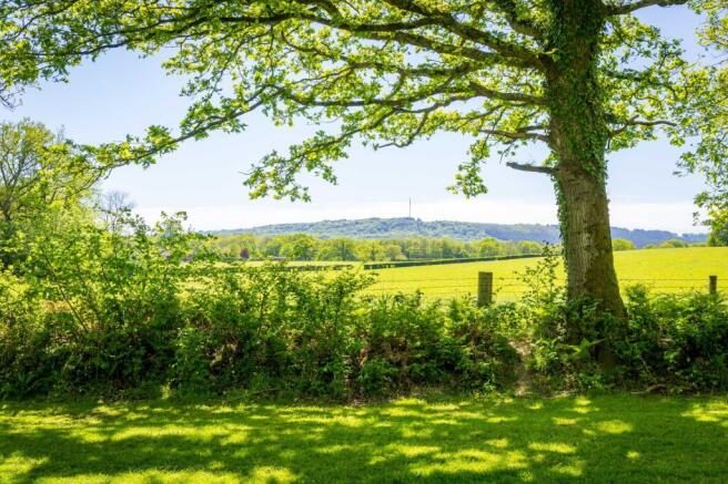 Views Overlooking Open Fields