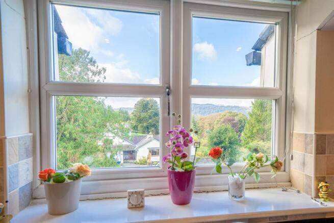 View from Kitchen window.jpg