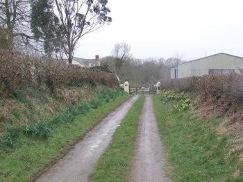 Photo 7