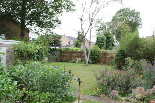 Photo 4