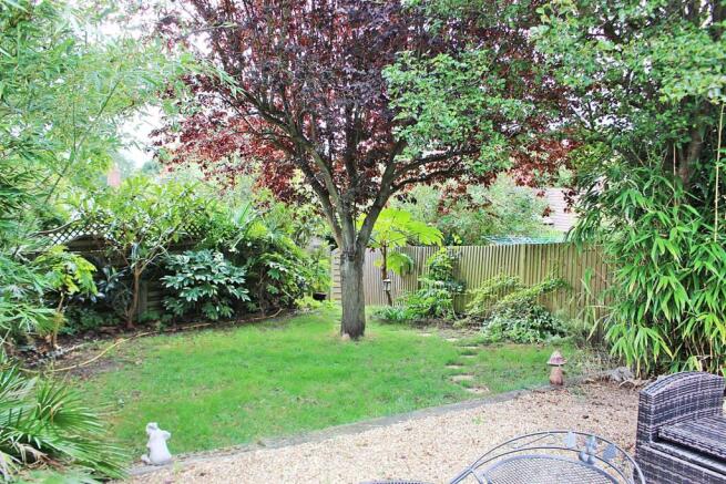 Garden 4.JPG