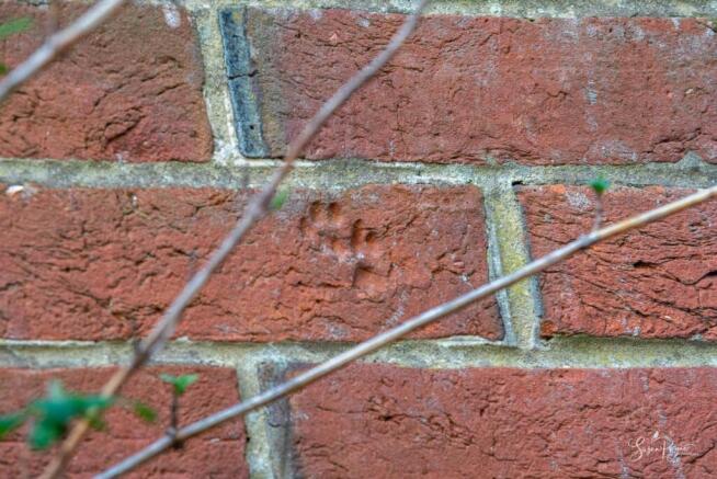 Characterful features