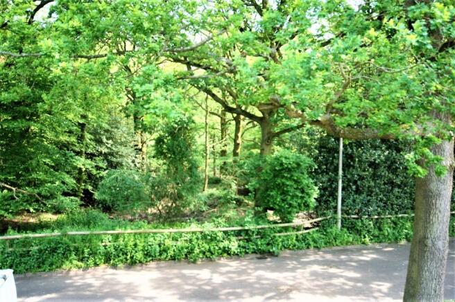 Forest View