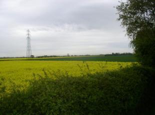 Open Farmland