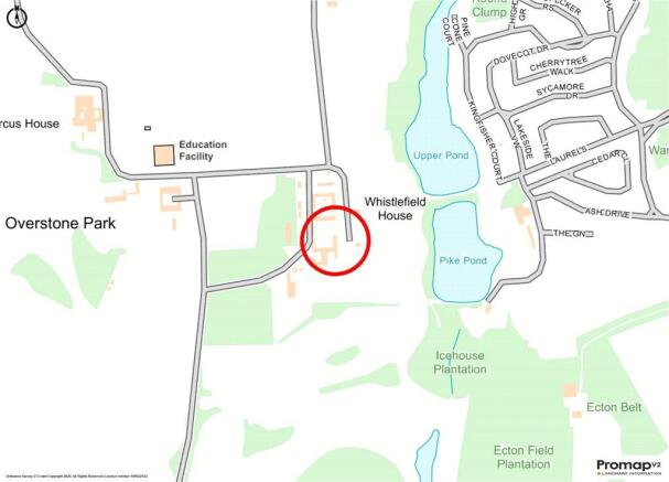 Street Map
