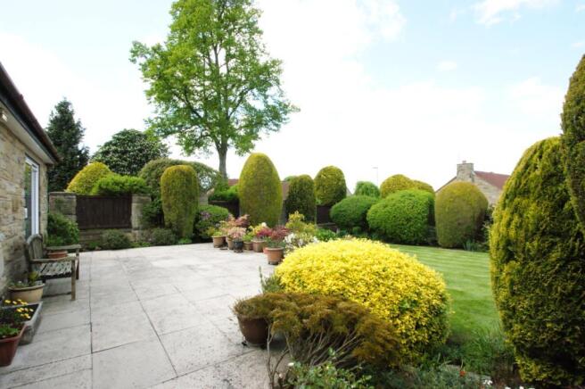 Rear Patio