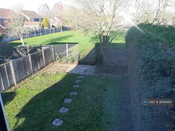 Back Garden