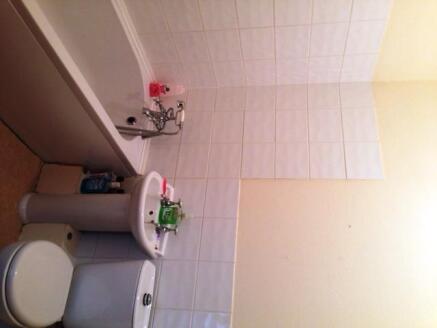 Modern Bathroom