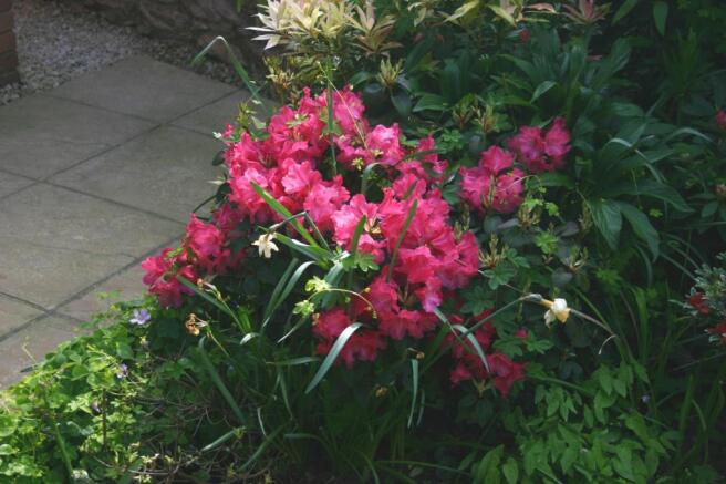 Photo 13