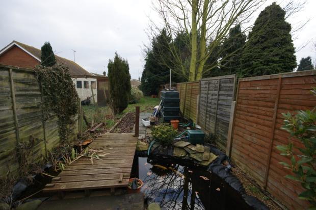 Rear Pond/Garden