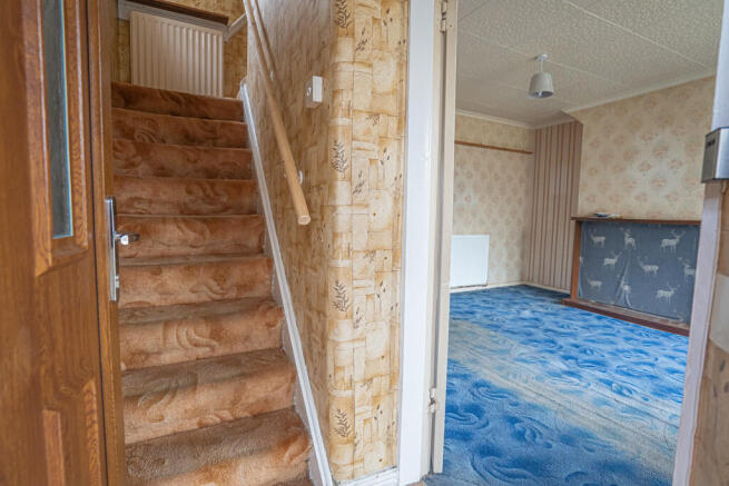 20260420-DSC09098...