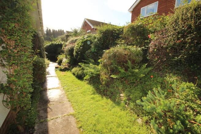 Back Garden