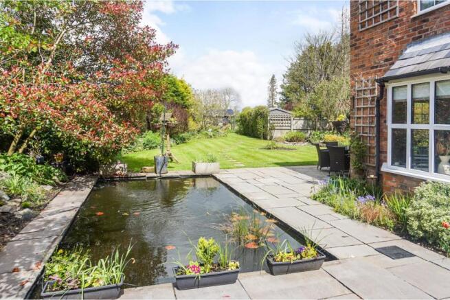 garden