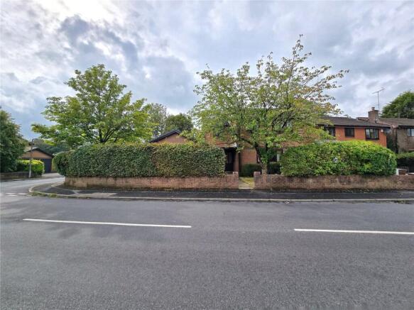 Mature Hedges