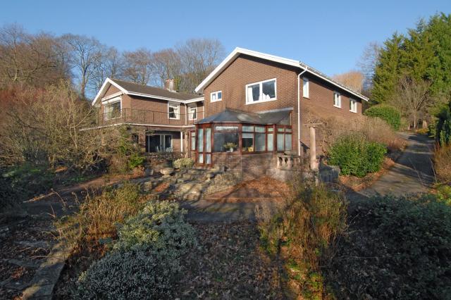 Rear Aspect