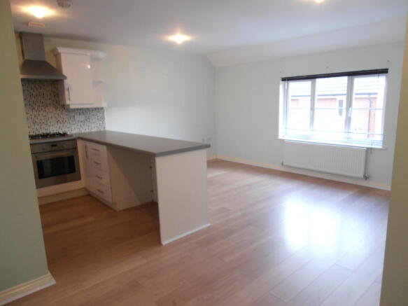 Kitchen/Living Room