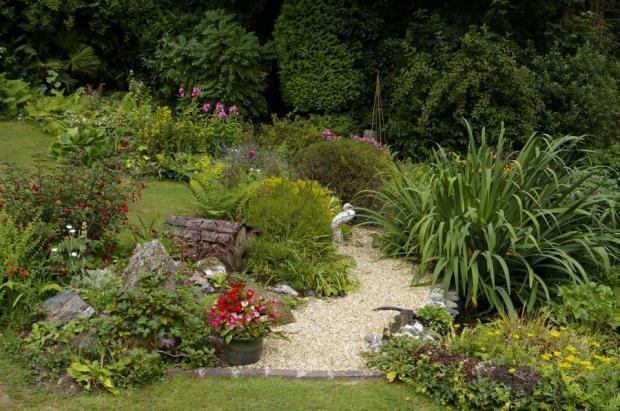 Garden