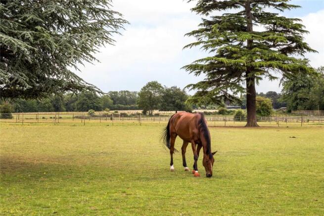 The Paddocks