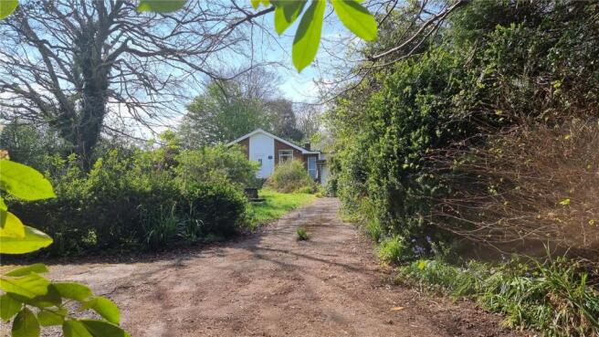 Driveway & Front