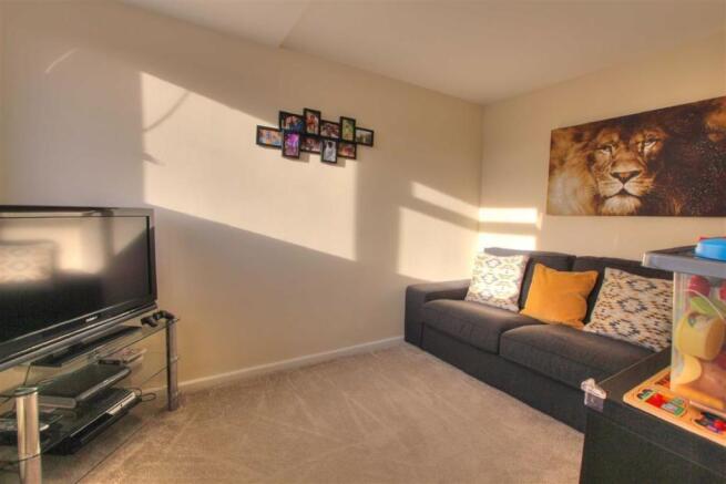 Study/Family Room: