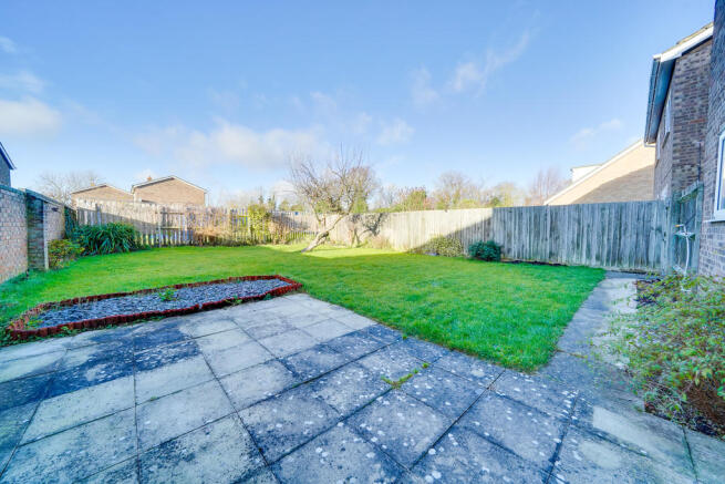 Back Garden