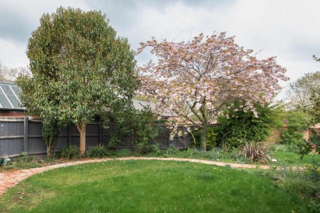 Back Garden